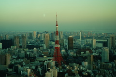 blue tokyo tower3