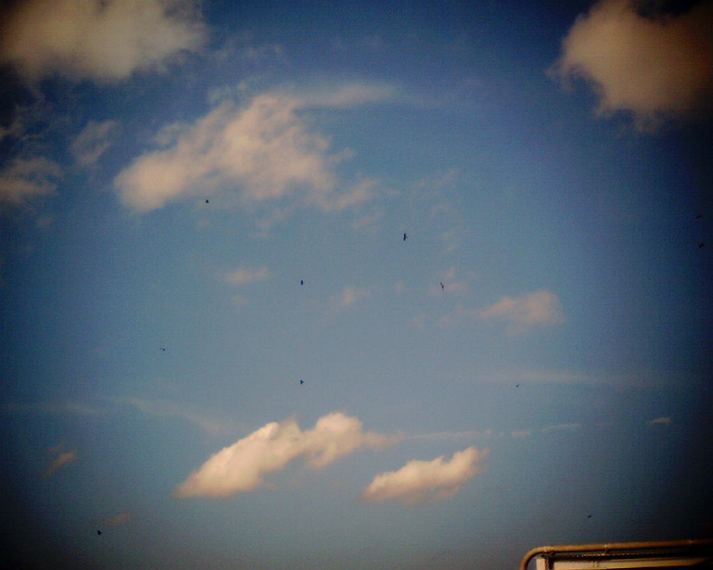木更津の空
