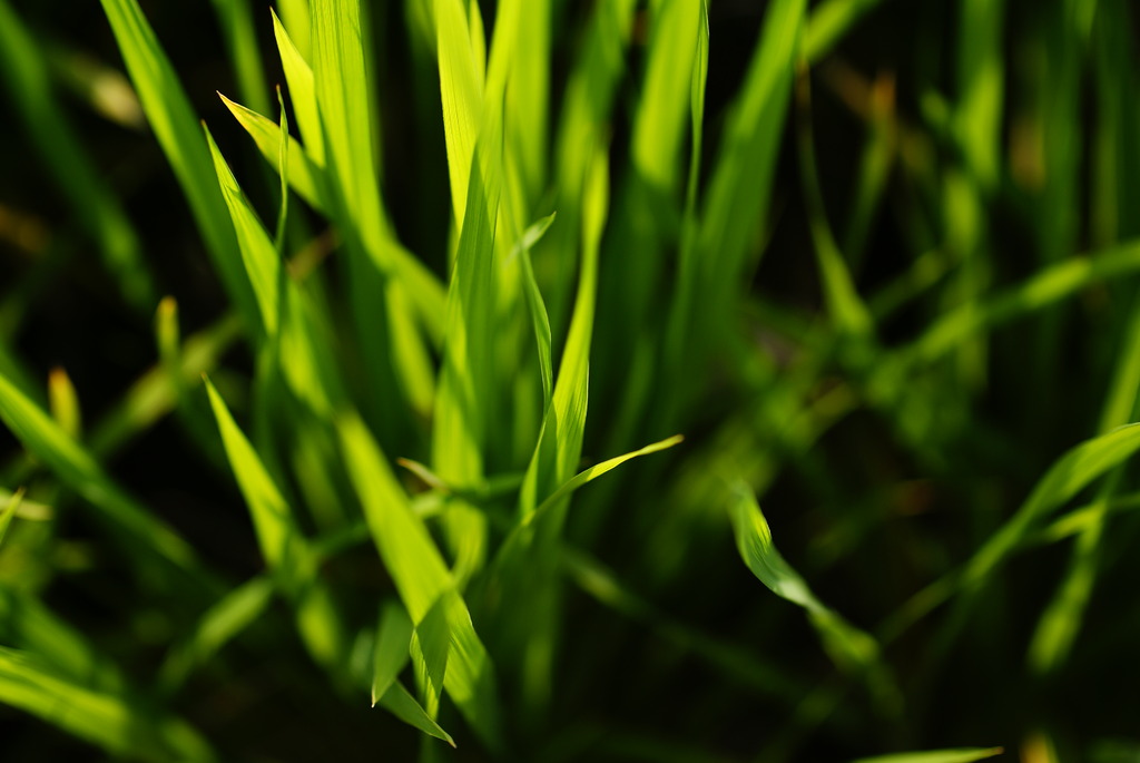 2009_0801_15310400