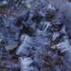 frost crystals