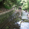 柿田川湧水池で遊ぶ子供たち