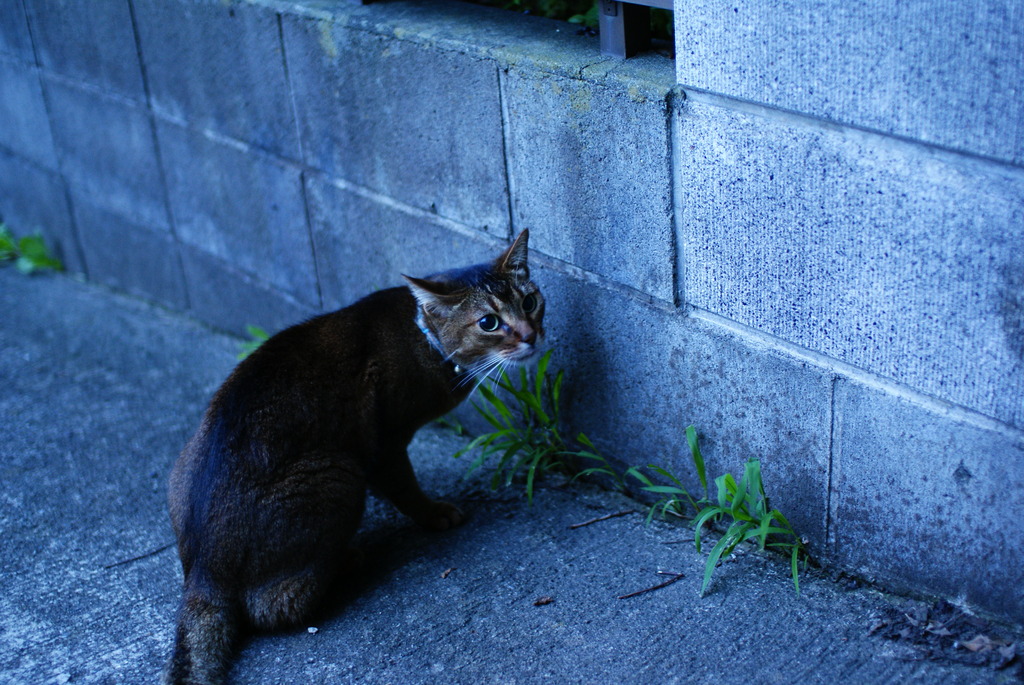 な、なんですか