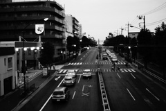 環八