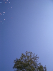 Happy Wedding Ballon1