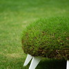 grass chair