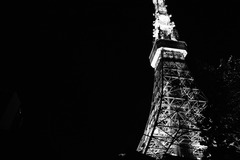 monochrome tokyo tower