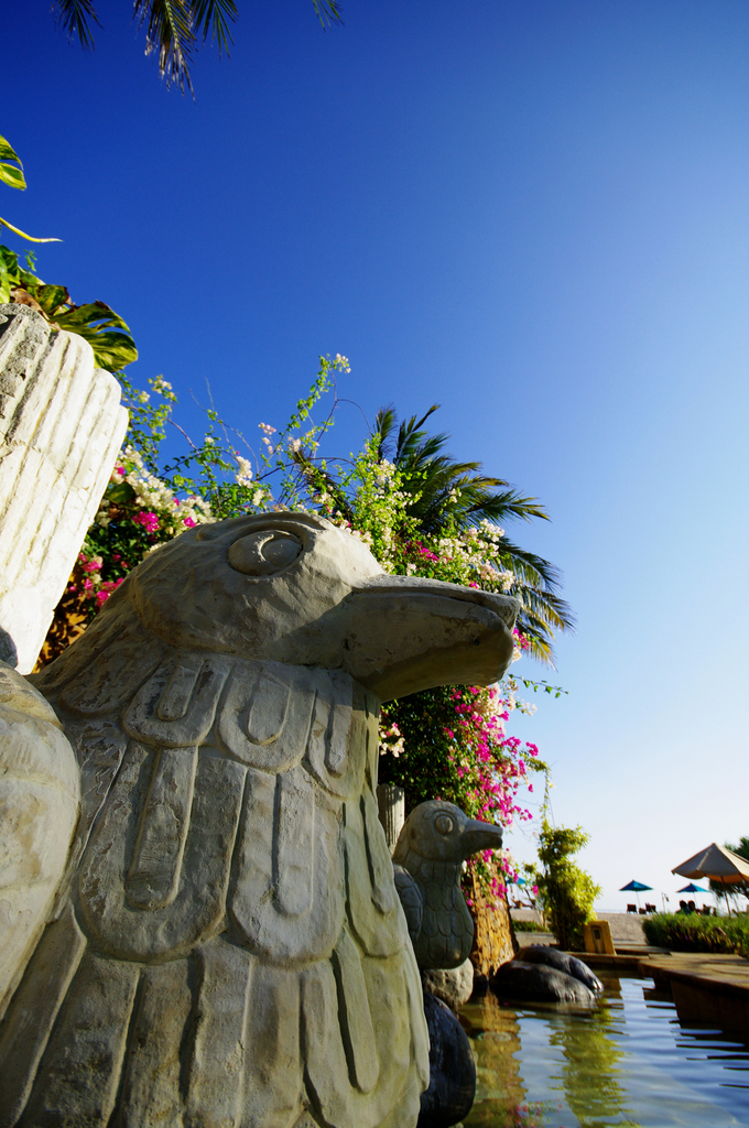 stone bird