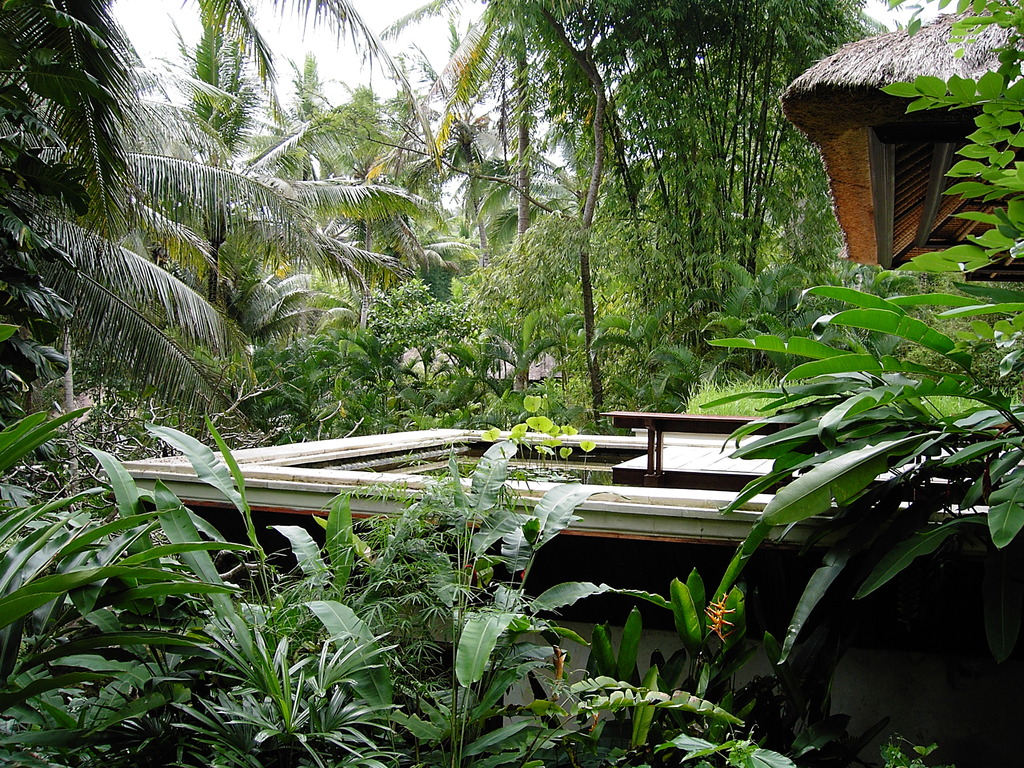 jungle resort