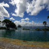 Infinity Pool