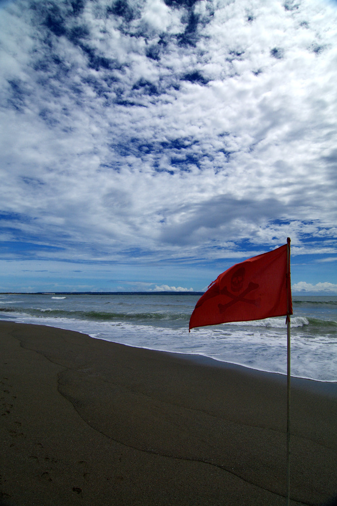 Pirate Flag