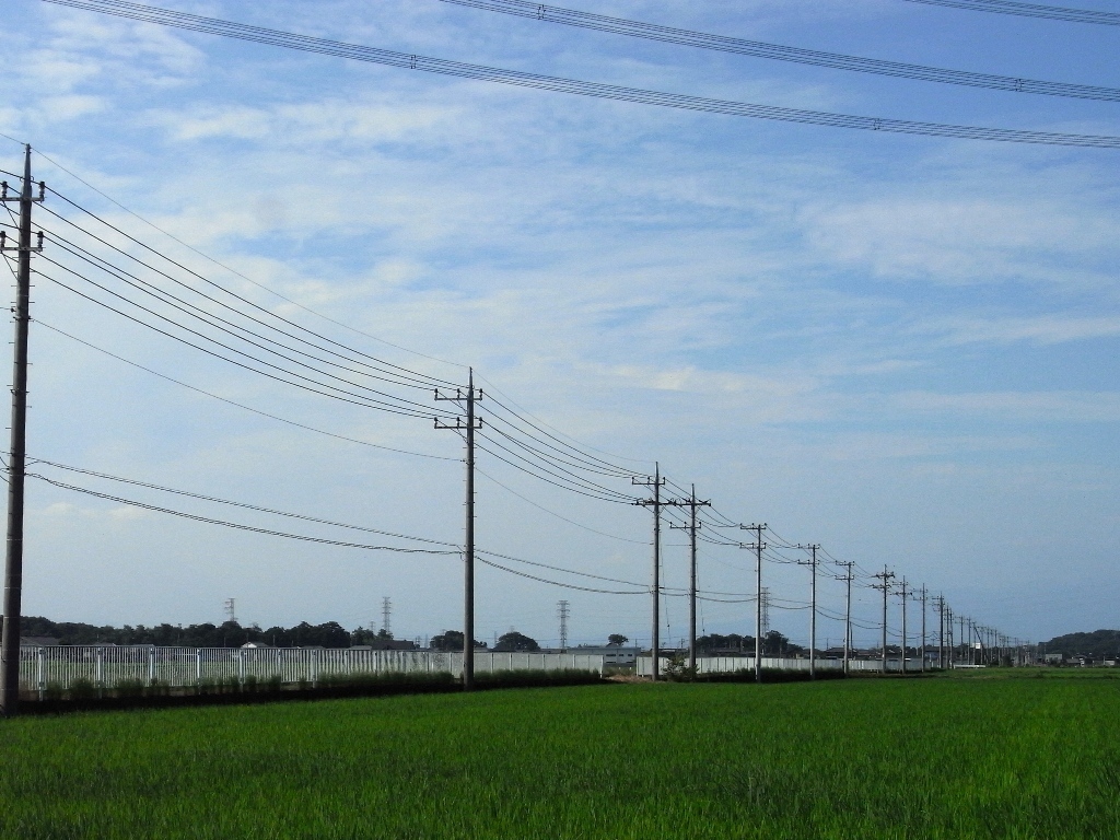 田園風景