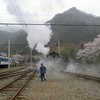 のどかな終着駅