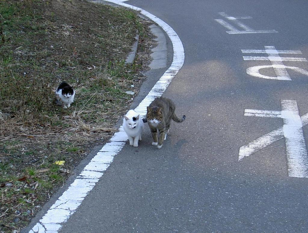 またね！