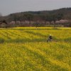 春の香りに誘われて