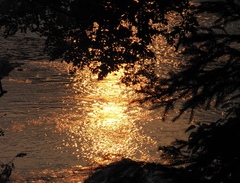 夕陽に映える水面