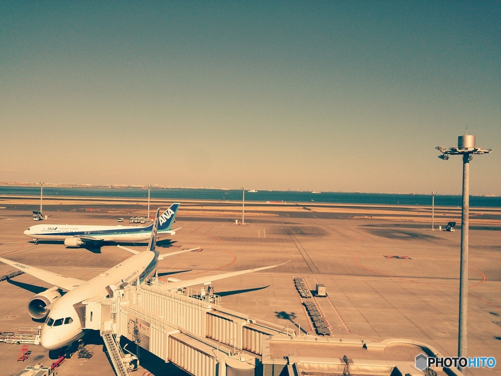 飛行機っていいね