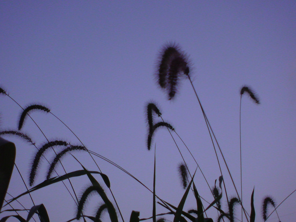 夕闇まぢか