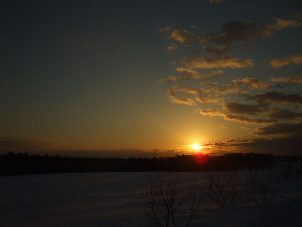 寒い夕日