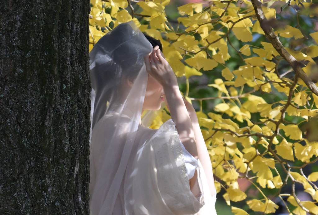 イチョウと天女