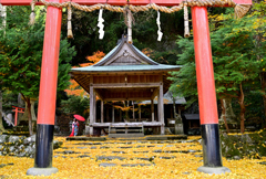 落葉神社 ２