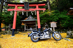 落葉神社 １