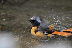 気持ちいいな～！