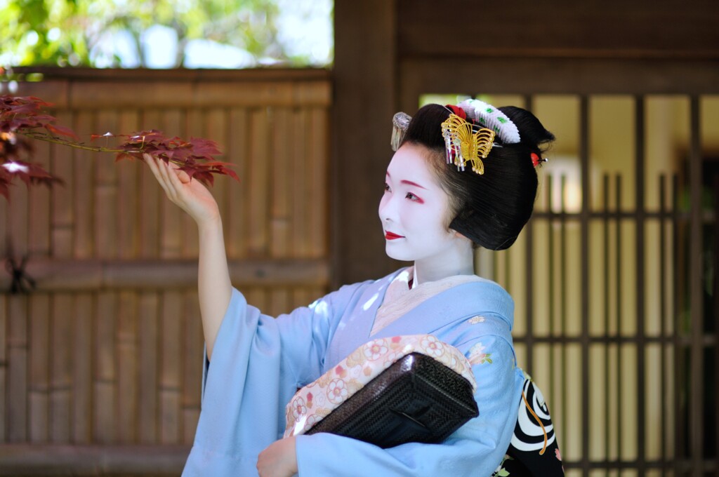 舞妓撮影会１