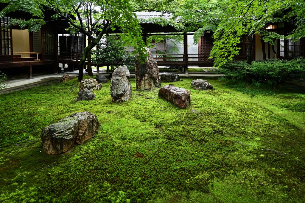 建仁寺「潮音庭」