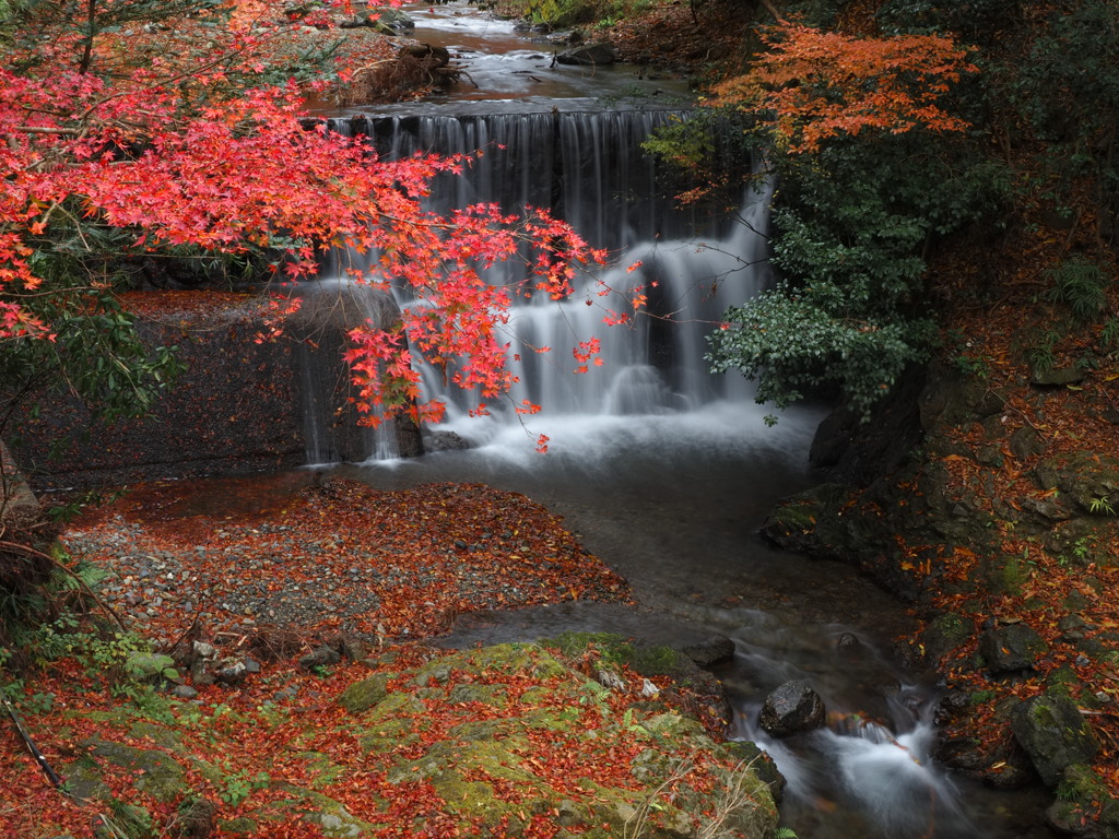 秋の小川