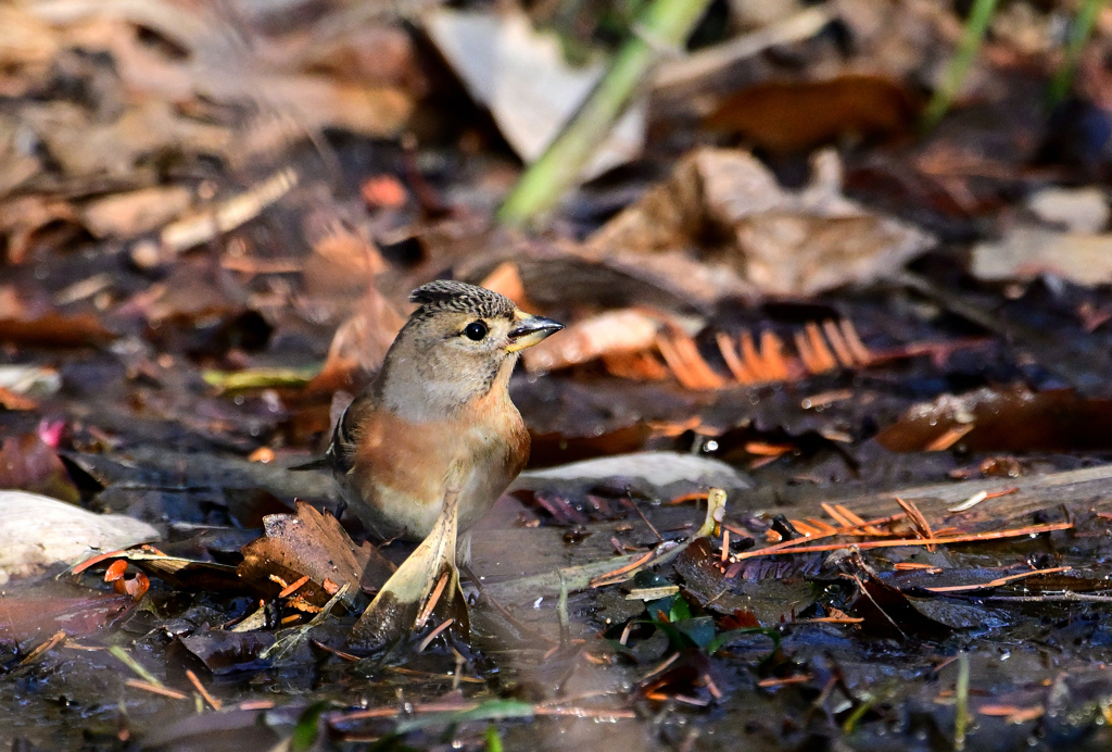 ♀さん、可愛い(｡♥‿♥｡)