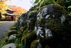秋の愛宕（おたぎ）念仏寺１