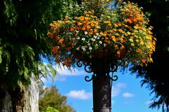 草津市立水生植物公園 6