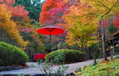 神護寺参道の秋景色