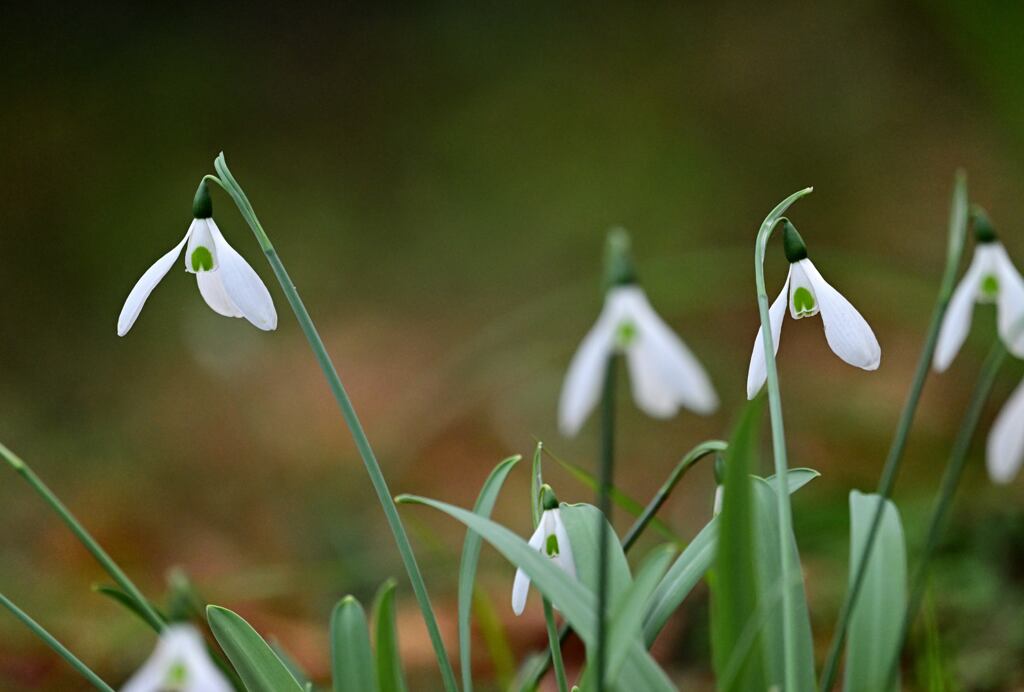 ハートを狙え！