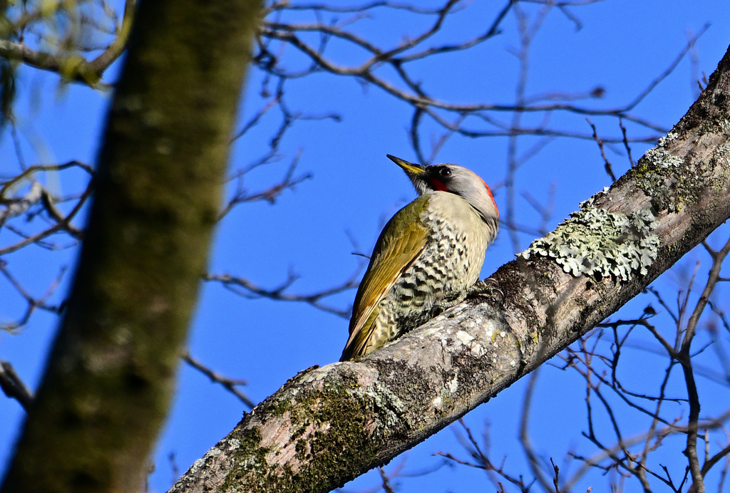 何か気にしてる！