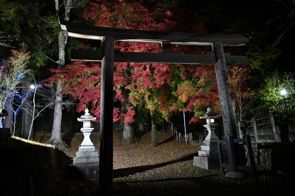 自宅裏の秋景色