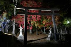 自宅裏の秋景色