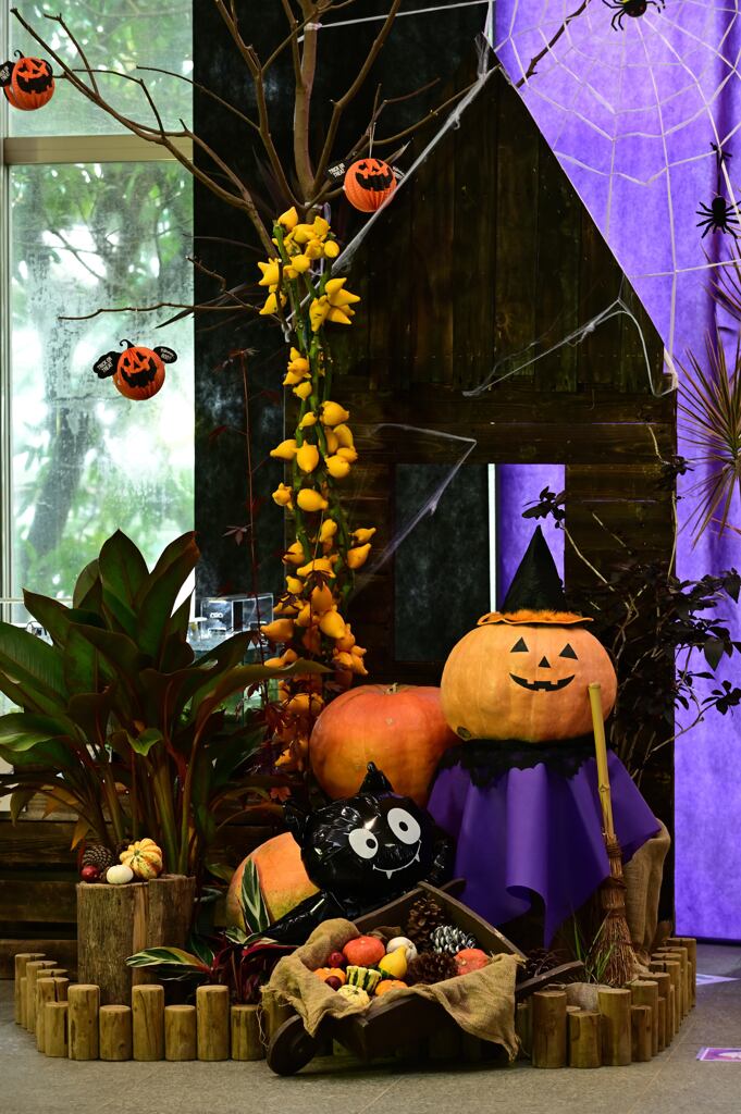 草津市立水生植物公園　１