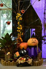 草津市立水生植物公園 1