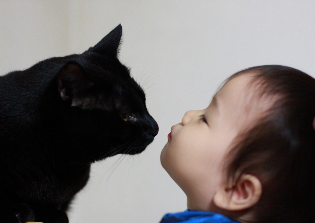 Kiss