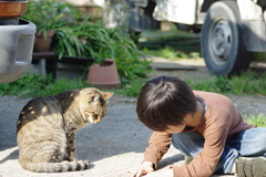 異文化コミュニケーション