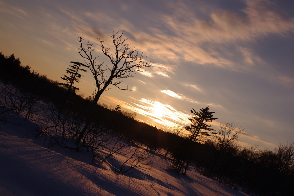 穏やかな夕暮れ