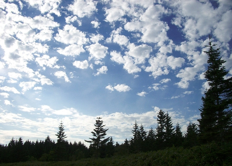 見納めの空