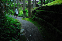 苔の園