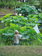 夏休み