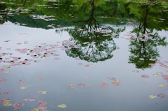 水鏡