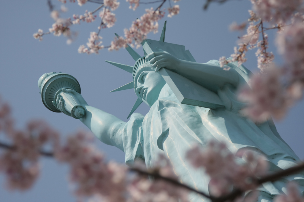 自由の女神と桜