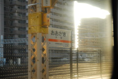 まぶしい。