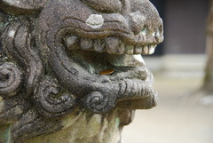 何故。