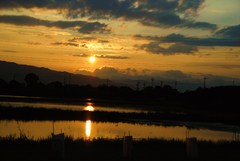 兵どものが夢のあと的な？